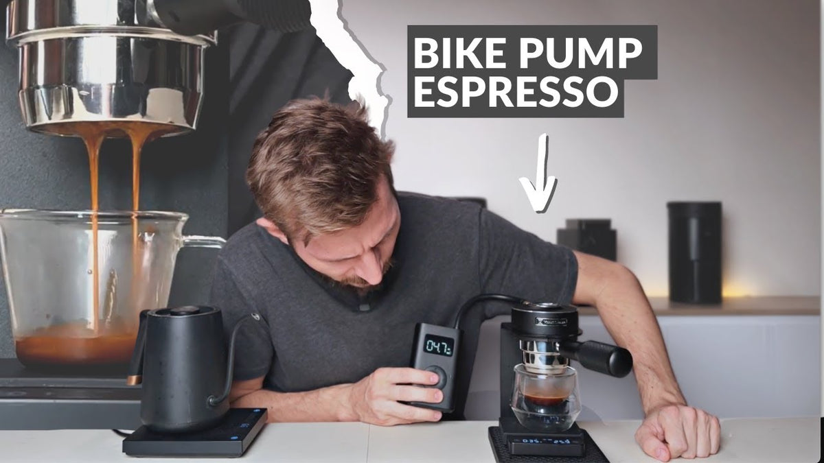 aGOwo3-BEXI-HD_1200x1200.jpg?v