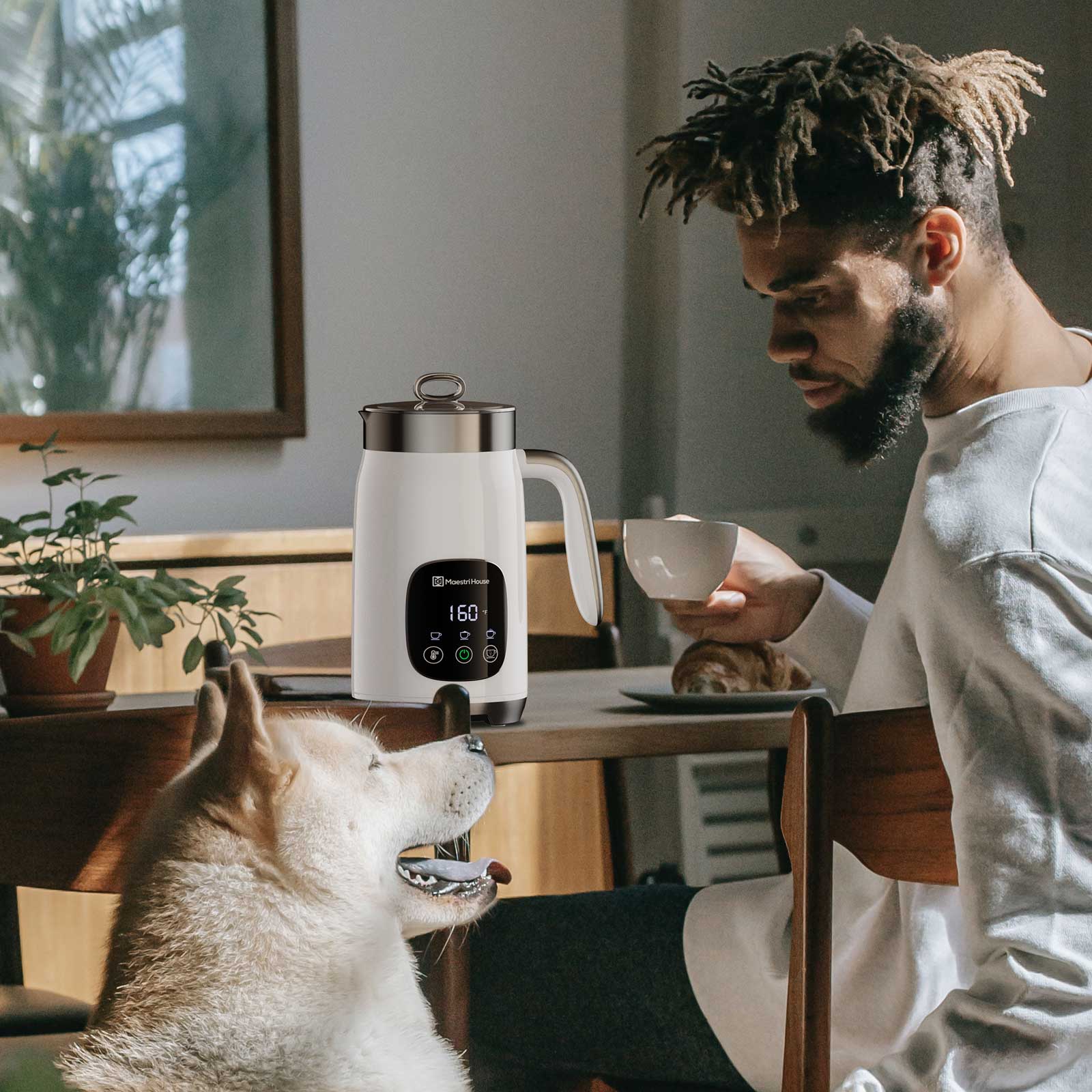 Color_Moonlight White